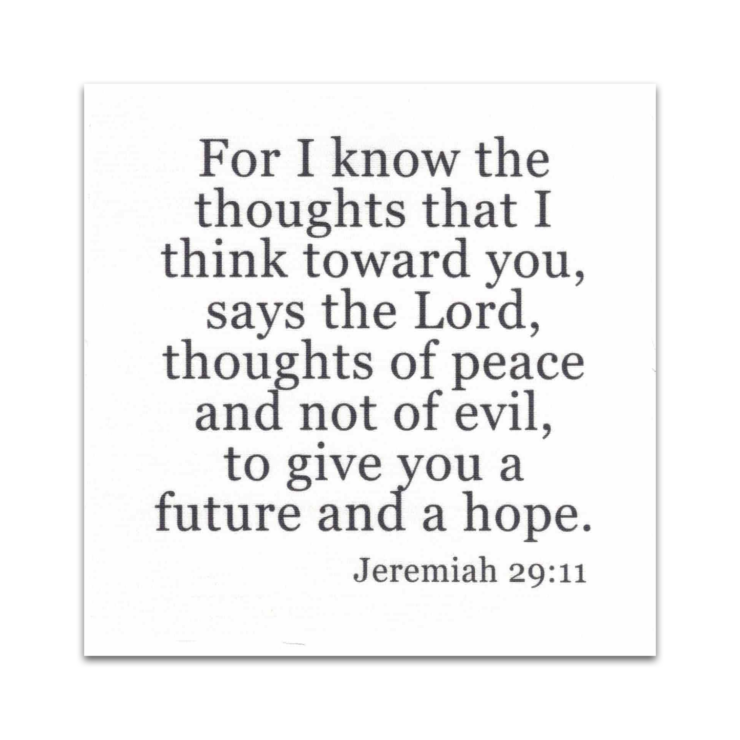 Precut Bible Quilt Square - Jeremiah 29:11