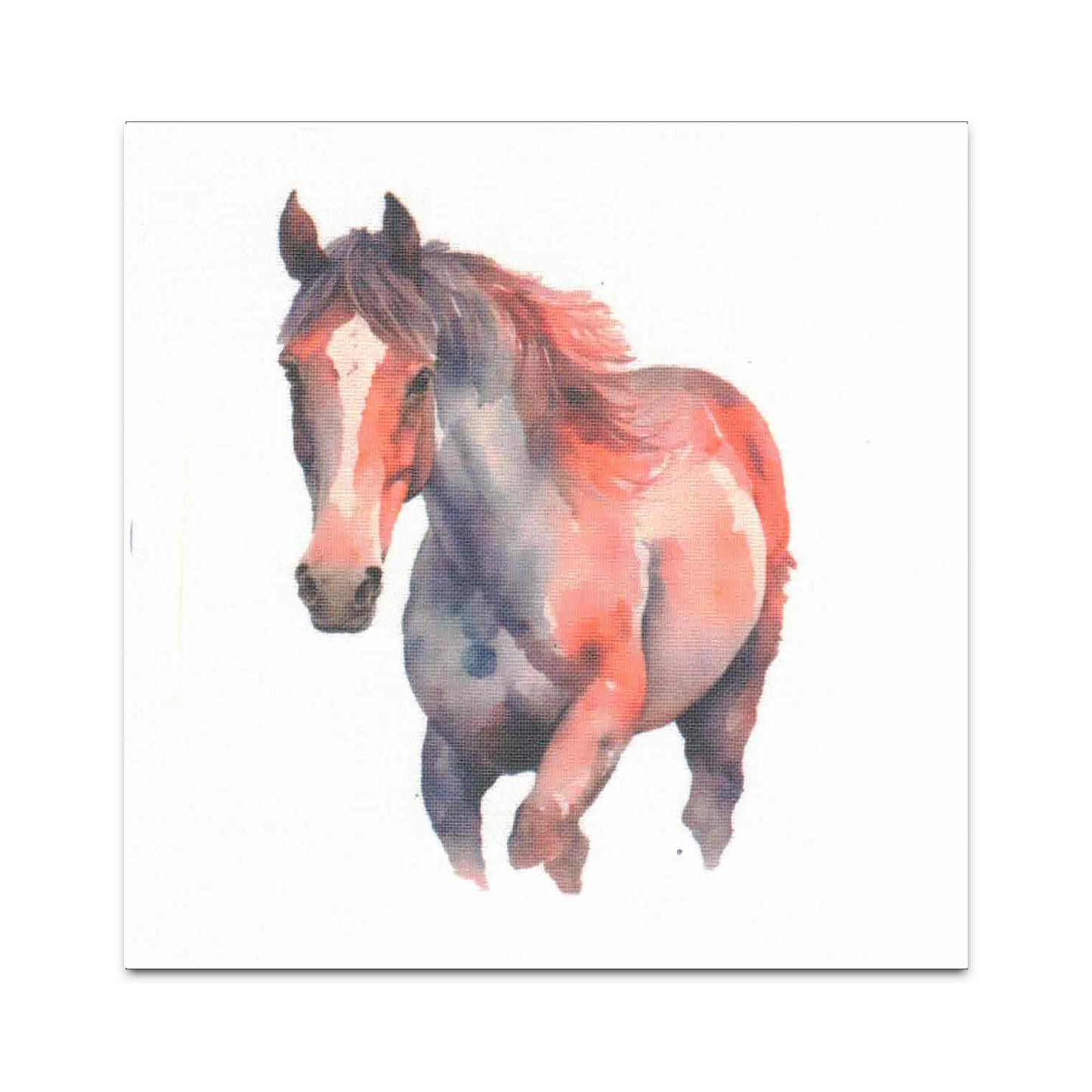 Set of 13 Precut Horse Equine Quilt Squares